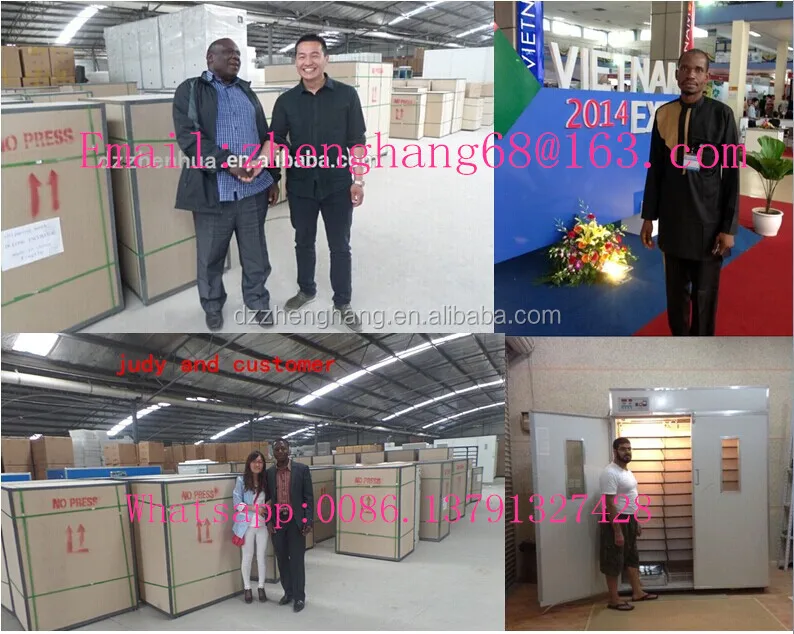 ostrich egg hatch machine/352eggs incubator/incubator/incubator for hatching eggs