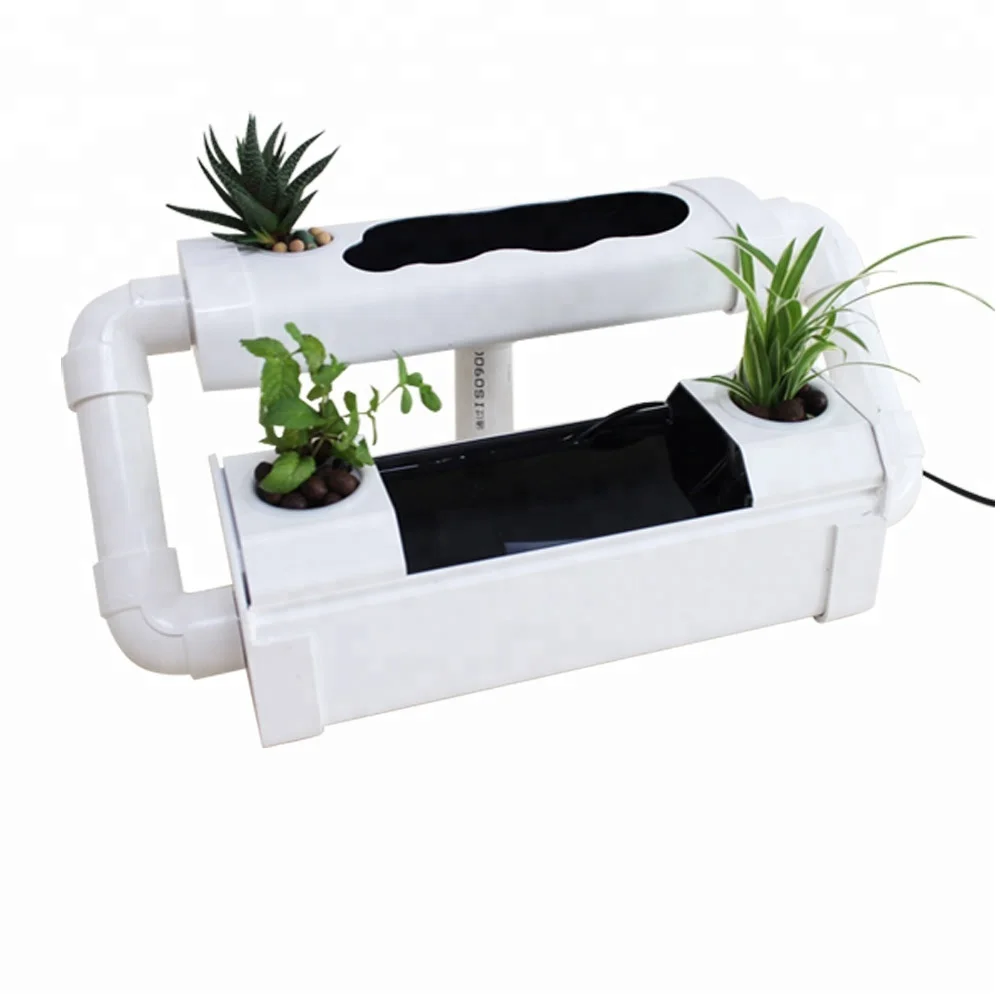 Small Aquaponic System For Office And Home Using