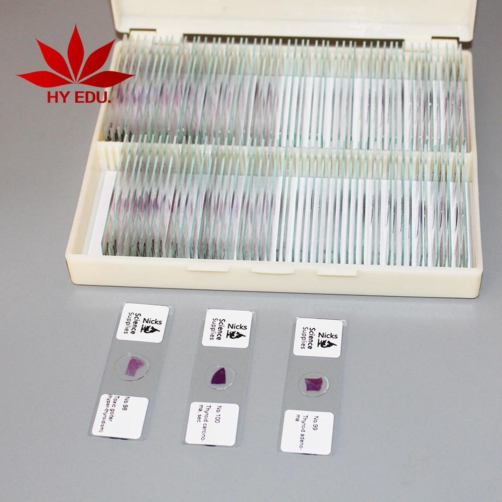 Fixed set High quality 50/100 pieces human general pathology prepared general pathology slides
