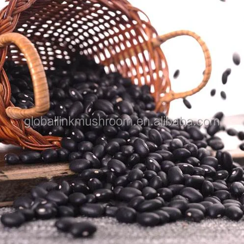 Black Beans Dried Kidney Beans Pulses