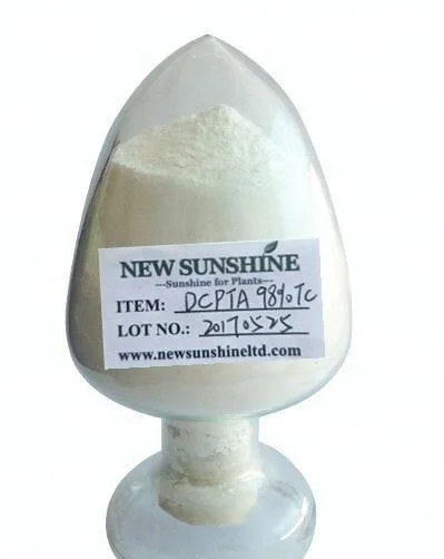 Best quality Tuber crops DCPTA