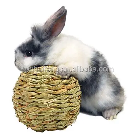 Small Animal Woven Grass Play Ball
