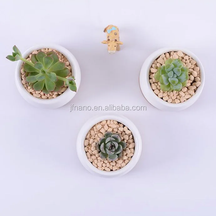 
3 inch small round white succulents ceramic pots with bamboo tray 
