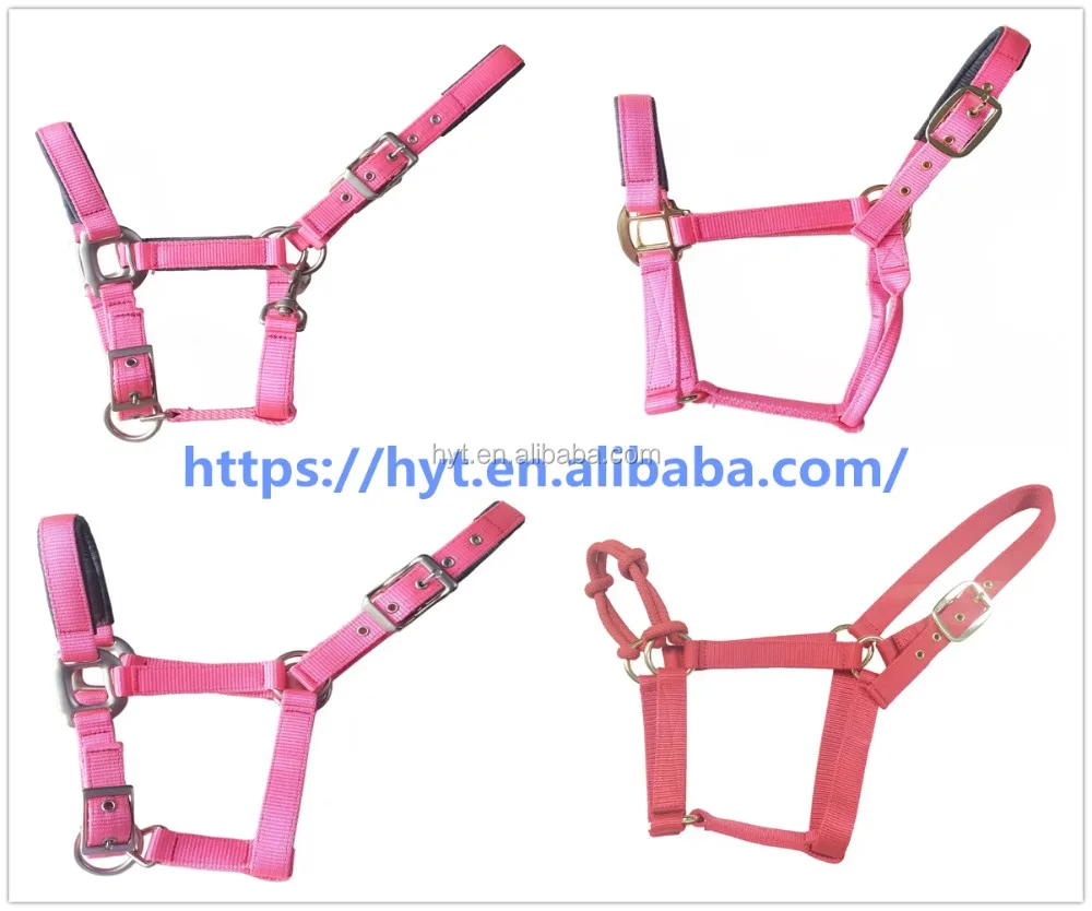Equestrian equipment horse riding equipment