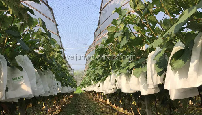 
Breathable polypropylene nonwoven protection grape bags for grewing 