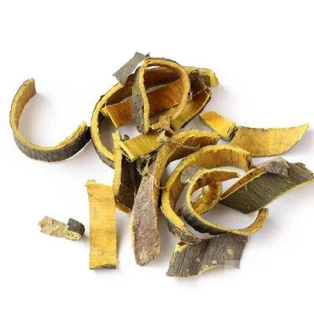 
Natural raw Chinese Herb Phellodendron amurense (PA) on hot sale 