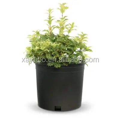 Cheap Extra Large Plastic Flower Pots for Gardening in Pots and Containers