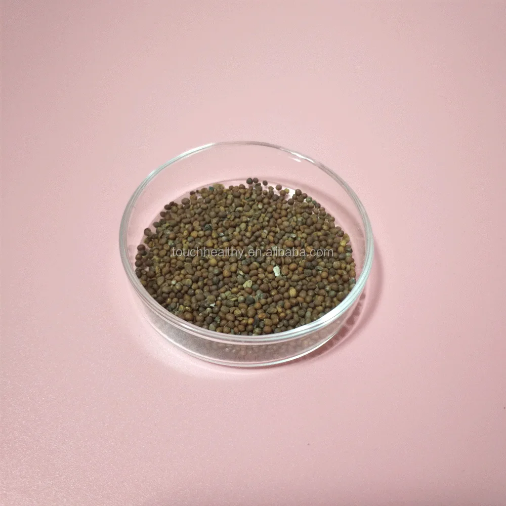 
2021 Touchhealthy supply High Yield Purple Broccoli seeds 