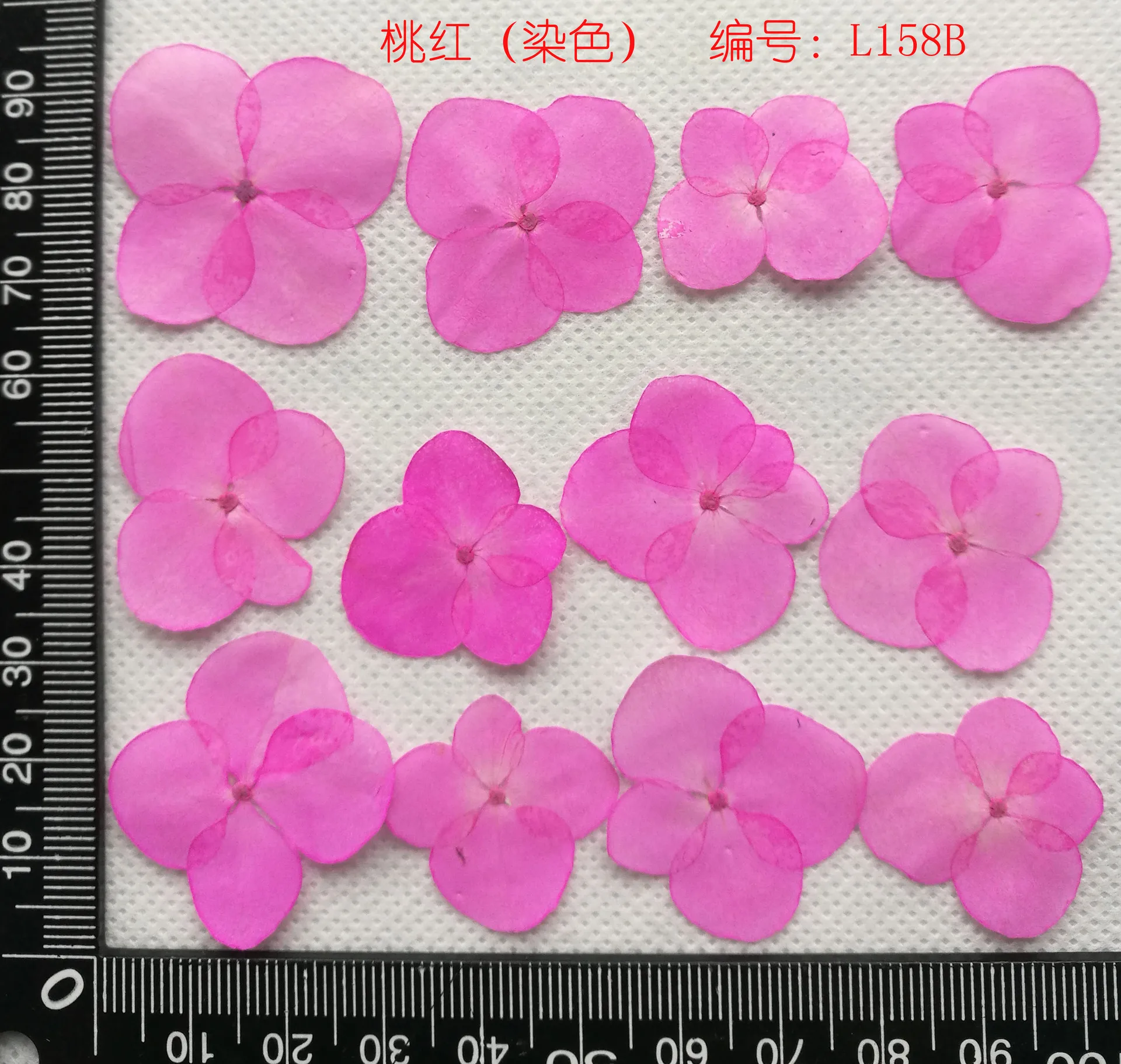 Multi Pressed Dried Flower, Rose, Hydrangea, Babesbreath, Artemisia, Lace Flower