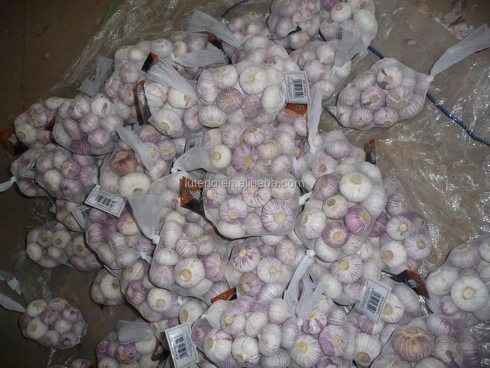 Fresh Solo garlic single clove garlic factory directly supply