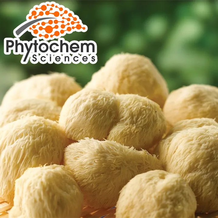 10%-50% натуральный гриб Львиной гривы/порошок герициума эрнацея