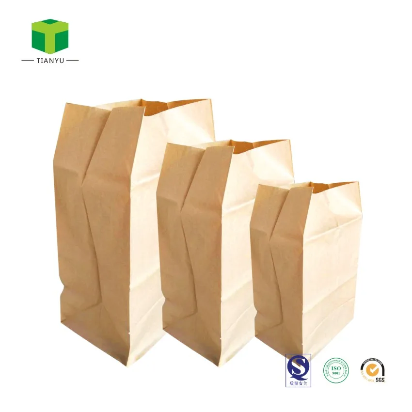 Recycled Heavy Duty Stand Brown Kraft Paper Lawn and Leaf Refuse Bag for Home and Garden Collect Tools