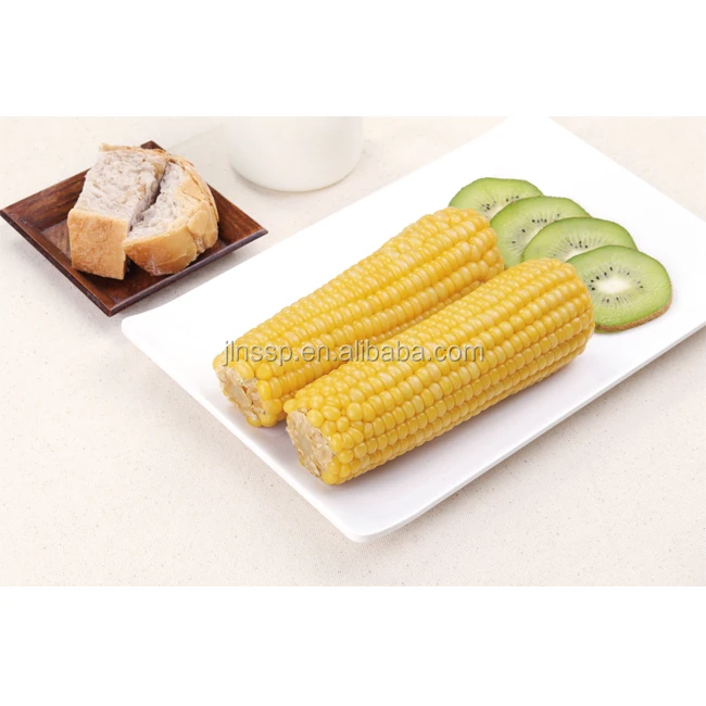Double Pack Organic Yellow Maize Corn Snacks Fresh Style for Fast Food