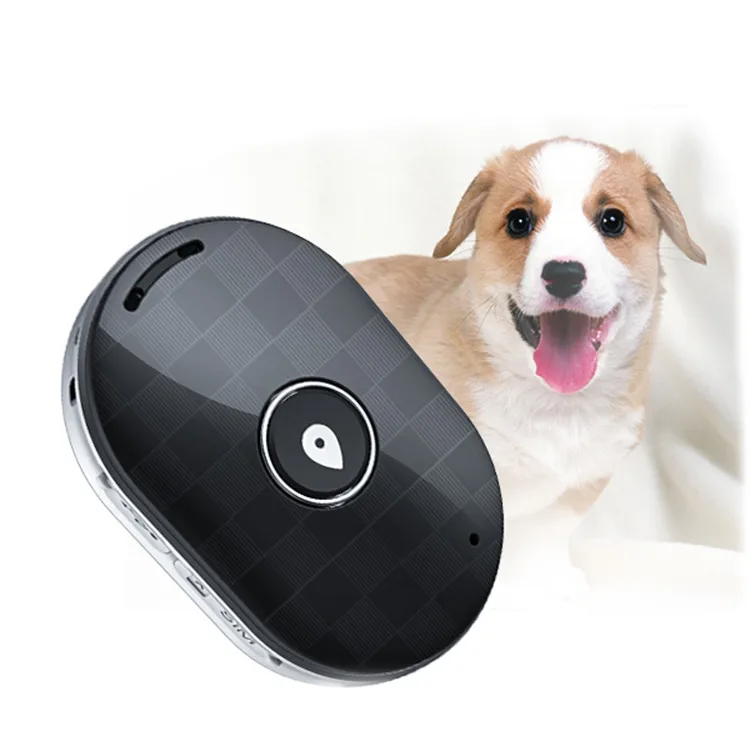 Protect Real Time Historical Route Playback Tracker Pet GPS Tracking Locator Collar Anti Lost for dog pet