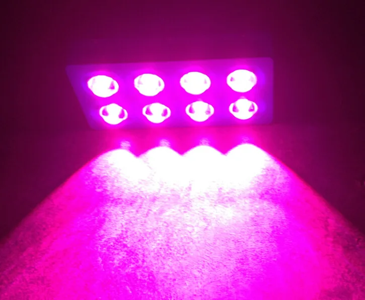 Shenzhen factory 1000w full spectrum cob led grow light for sale