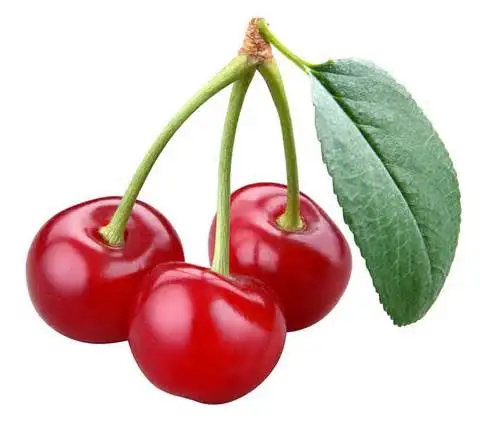 17%,25% Vitamin C(Acerola Fruit Extract Powder/Malpighia punicifolia Extract Powder)