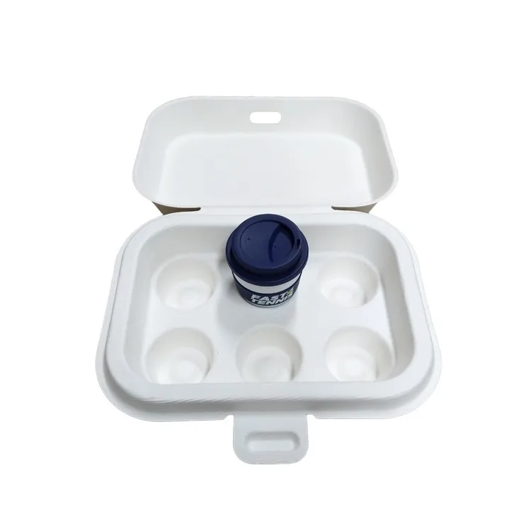 Custom biodegradable sugarcane molded pulp packaging boxes with print
