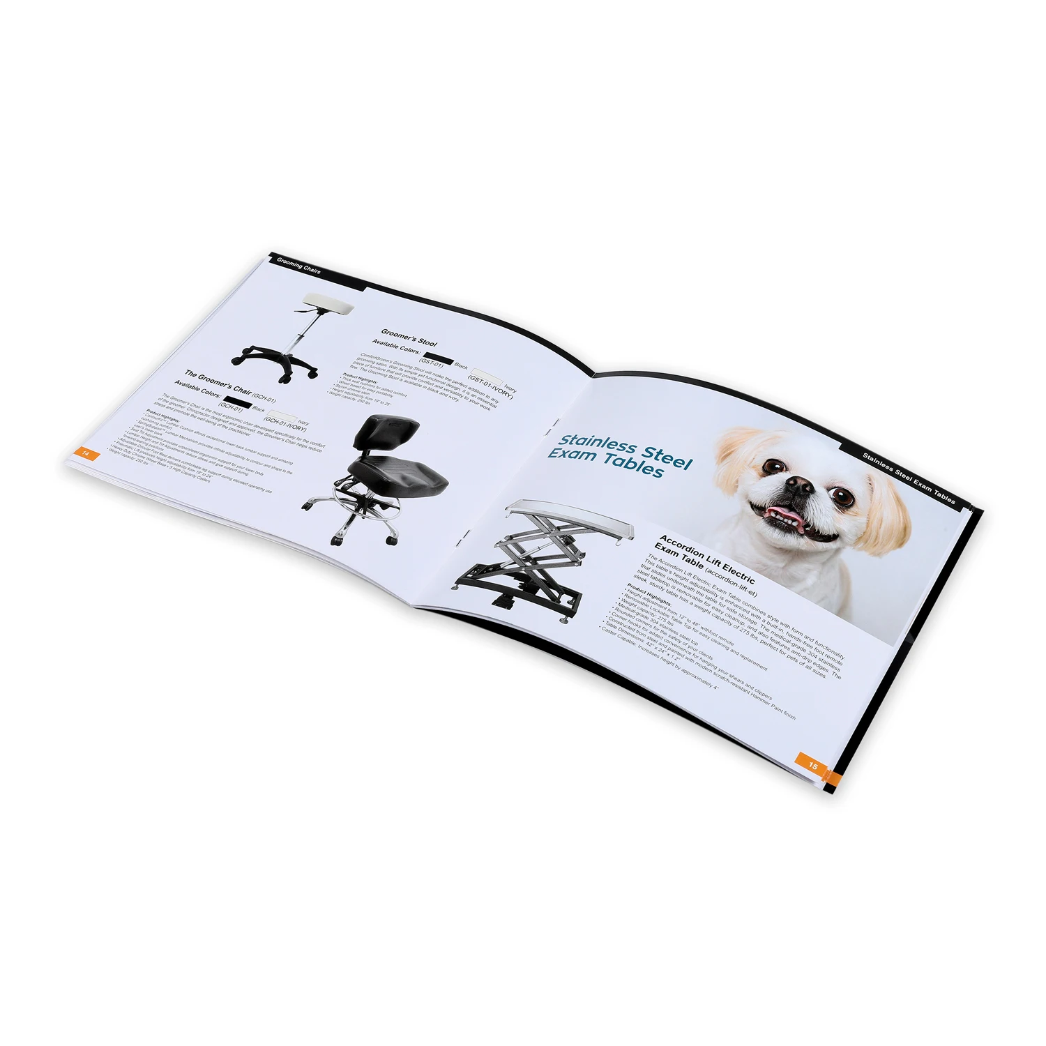 China professional printer trustworthy online booklets printing services