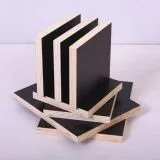 18mm marine plywood/black film faced plywood manufacturer