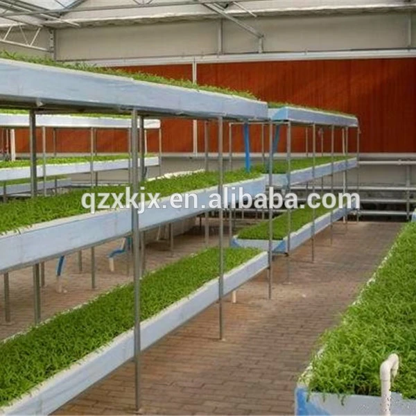 hydroponic container intelligent Hydroponic Growing Systems Greenhouse vertical hydroponic system on hot sale