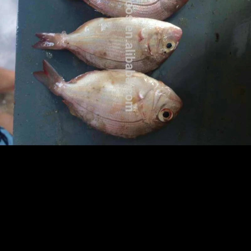 Замороженная красная