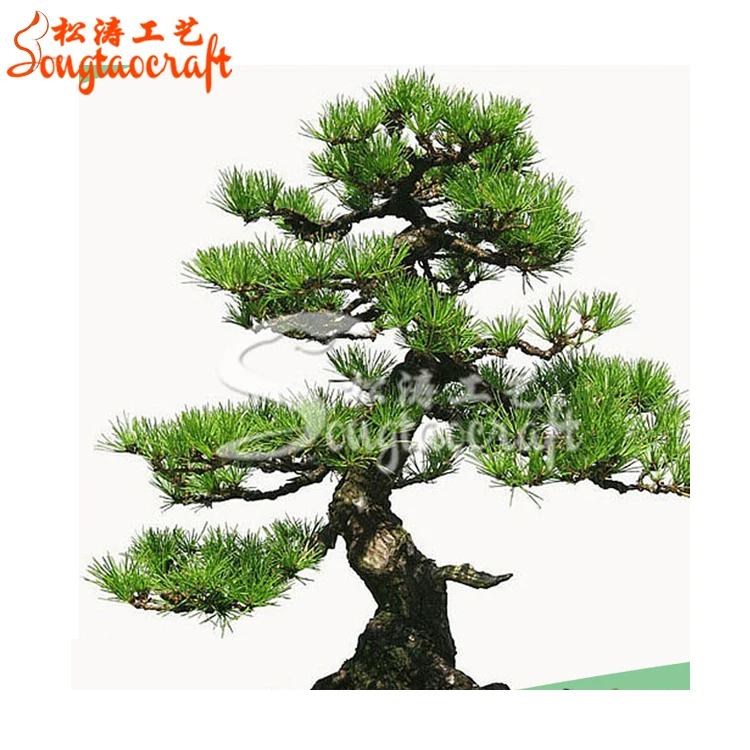 
Оптовая продажа, Декоративные искусственные декоративные мини-растения араукарии бонсай 