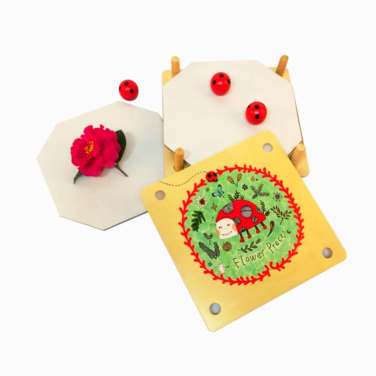 2022 Amazon hot selling Flower Press Educational toy diy kit