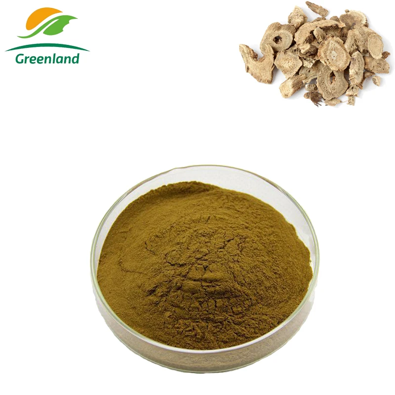 Chinese Plant Radix Aucklandiae Costustoot Extract Powder Costustoot P.E.