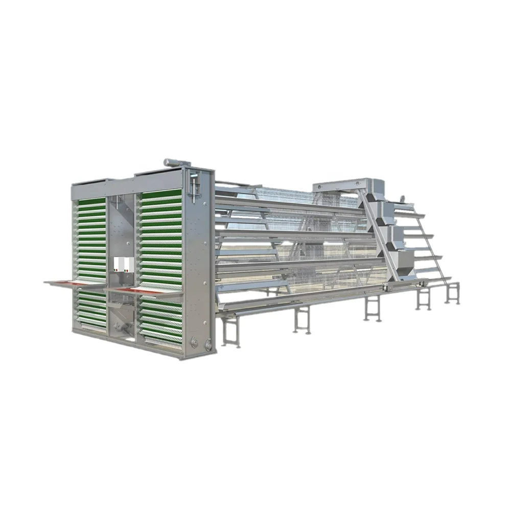A hen cage for chicken farm Nigeria and Ghana in Africa