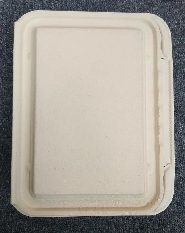 Eco-friendly Disposable Sugarcane bagasse pulp food container, one compartment clamshell, 825ml