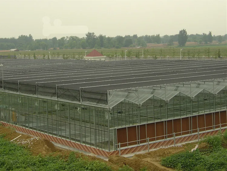 
Smart Commercial polycarbonate garden greenhouse for research 