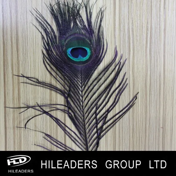 GH602 Wholesale Dyed Peacock Feather For Carnival Costume