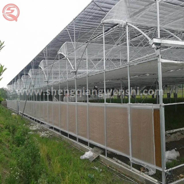 Industrial Plastic Greenhouse Bright Color Evaporative Cooling Pad
