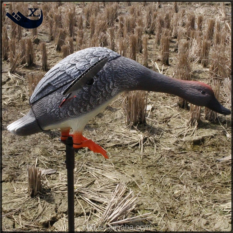 DGXILEI OUTDOOR HUNT DUCK HUNTING ELECTRONIC DECOY 6V SPINNING-WINGS GADWALL DUCK MOTOR DECOY WITH REMOTE