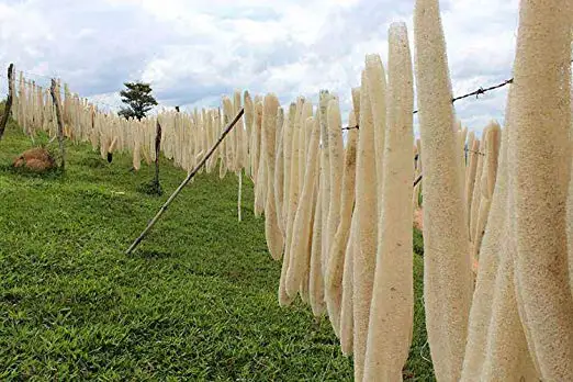 Loofah Scrubber and Pumice Stone Combo 100% Natural Organic Loofah Bath Sponge Body Scrubber Natural Lava Exfoliating