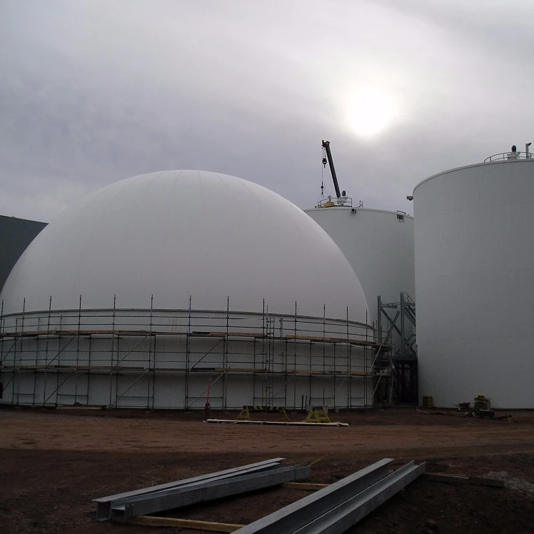 Methane gas torch with Double membrane gas for Biogas equipment