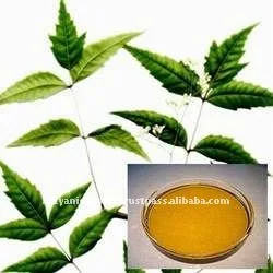 Wholesale Quality Top Selling  Pure And Natural Neem  Essential Oil for Bulk Purchase At Minimal Price