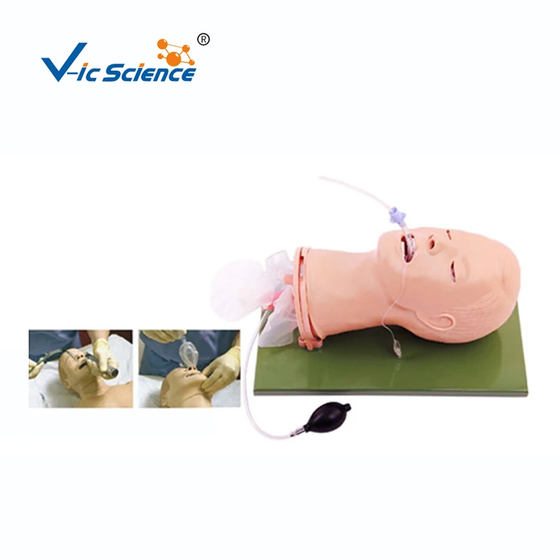 Модель обструкции тела для взрослых, манекен для тренировки, наружная компрессия груди