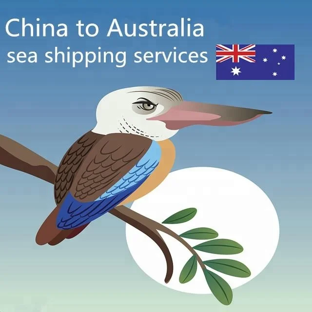 
container shipping from China to Australia shipping agent 
