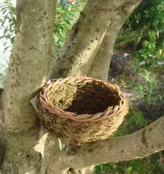garden bird nest house