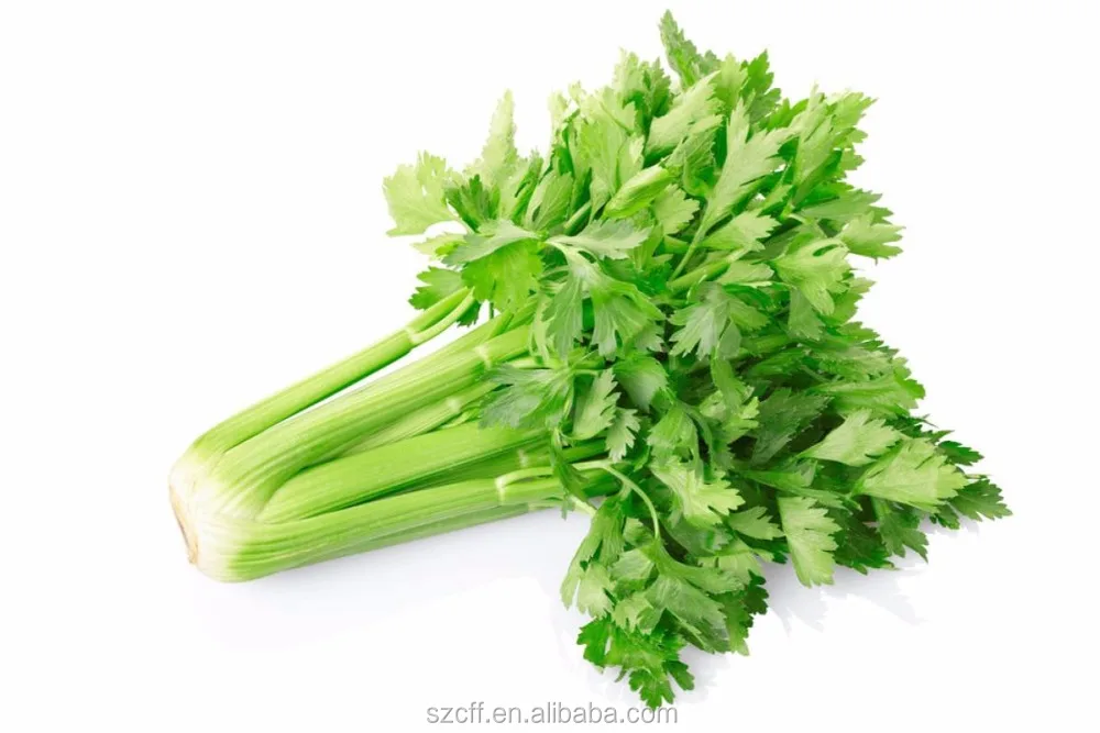 Vegetable Flavoring Natural Fresh Celery Flavor For Biscuit Flavoring