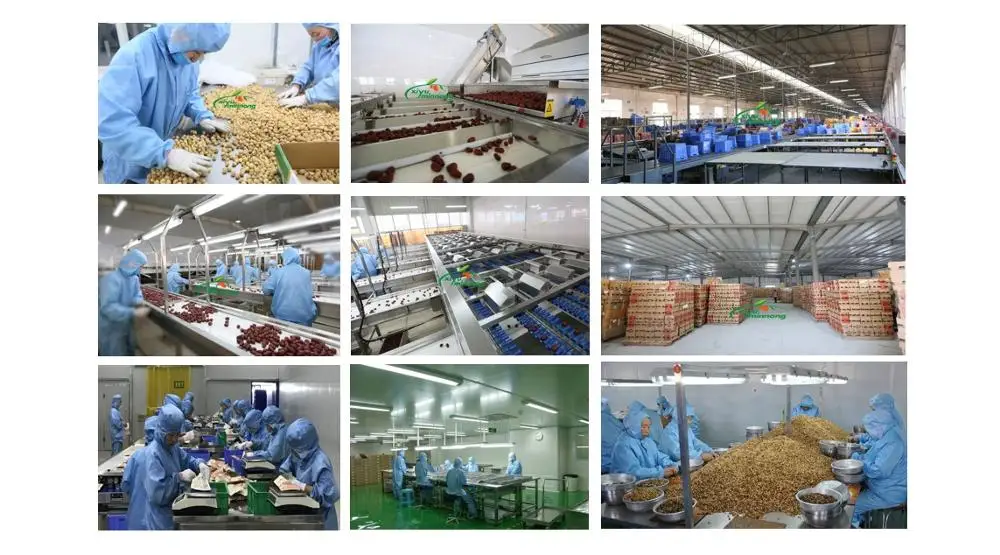 pine nuts, pine kernels with shell