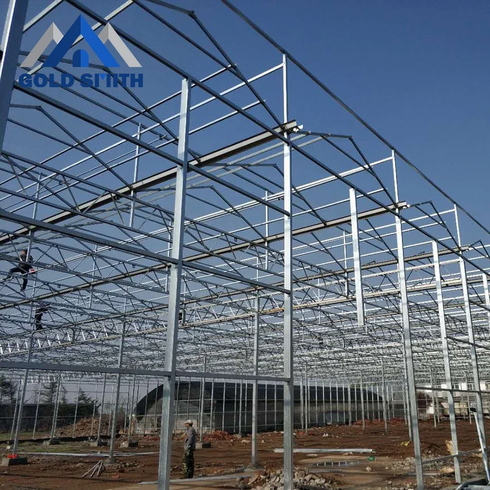 Customized Venlo Type Steel Tube Agriculture Greenhouse with Cooling Equipment