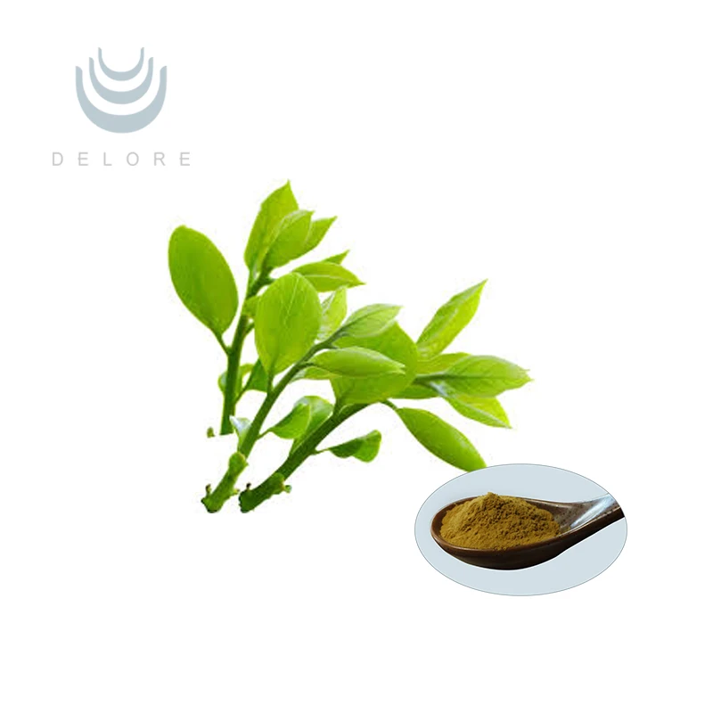 High Quality Anti-aging Tea Polyphenols Green Tea Extract
