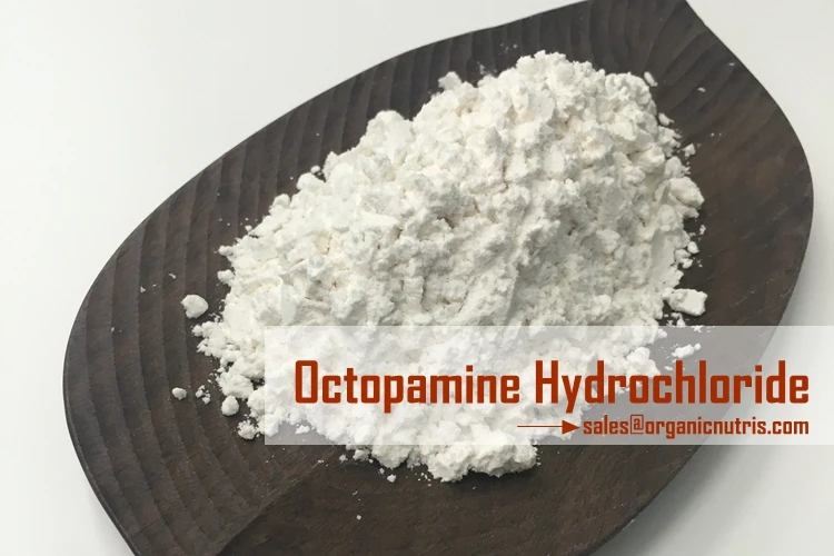 
DL - Octopamine Hydrochloride , Octopamine HCL Supplier 