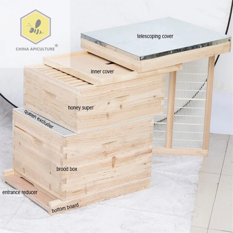 China Apiculture b beekeeping tools Dadant bee hive Wood Dadant Bee hive