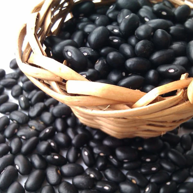 Wholesale kidney bean black bean best bean price