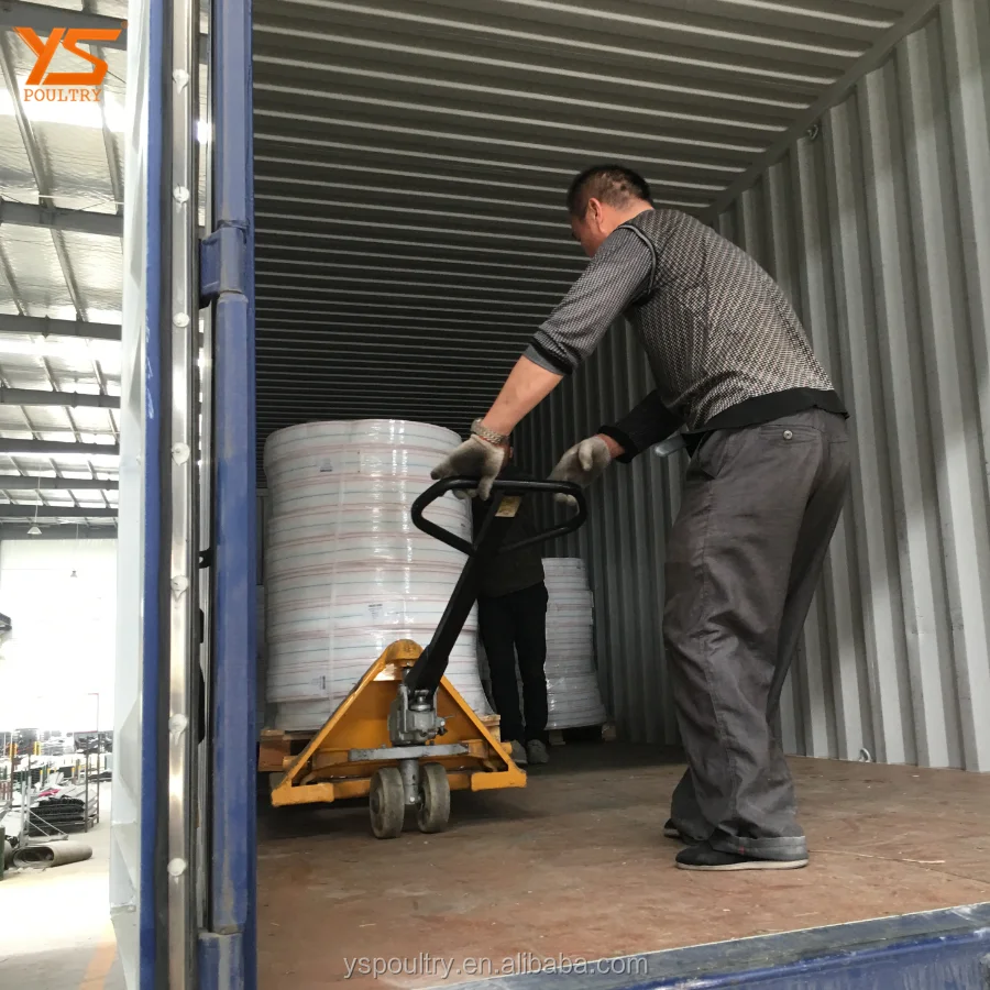 Low Price Fully Automatic Egg Collector for Poultry Cage