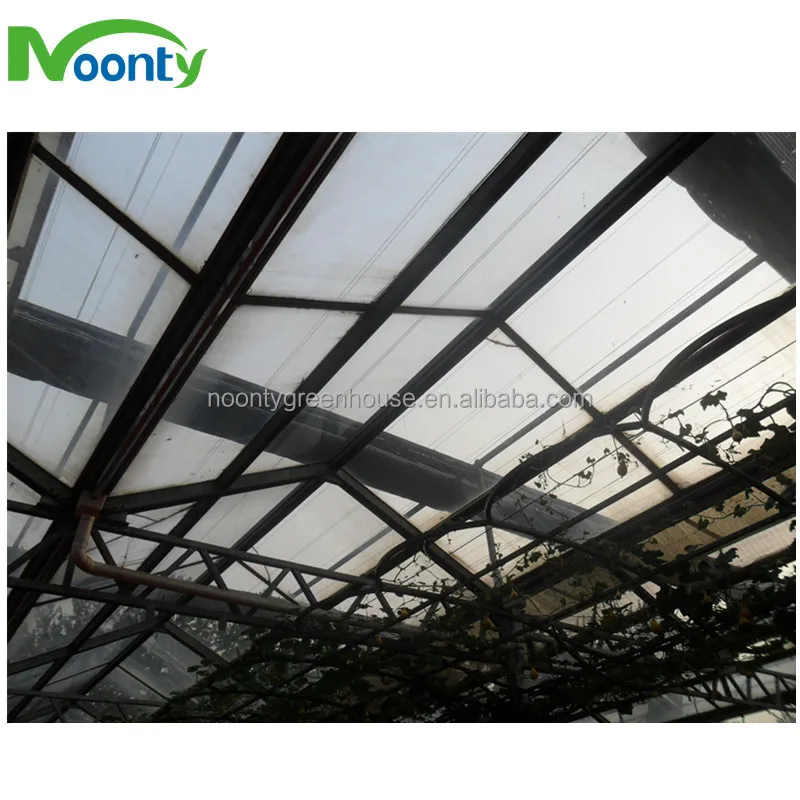 Modern venlo Polycarbonate Glass farming greenhouse Multi-Span Commercial pc sheet Greenhouses Prefab green house overall system