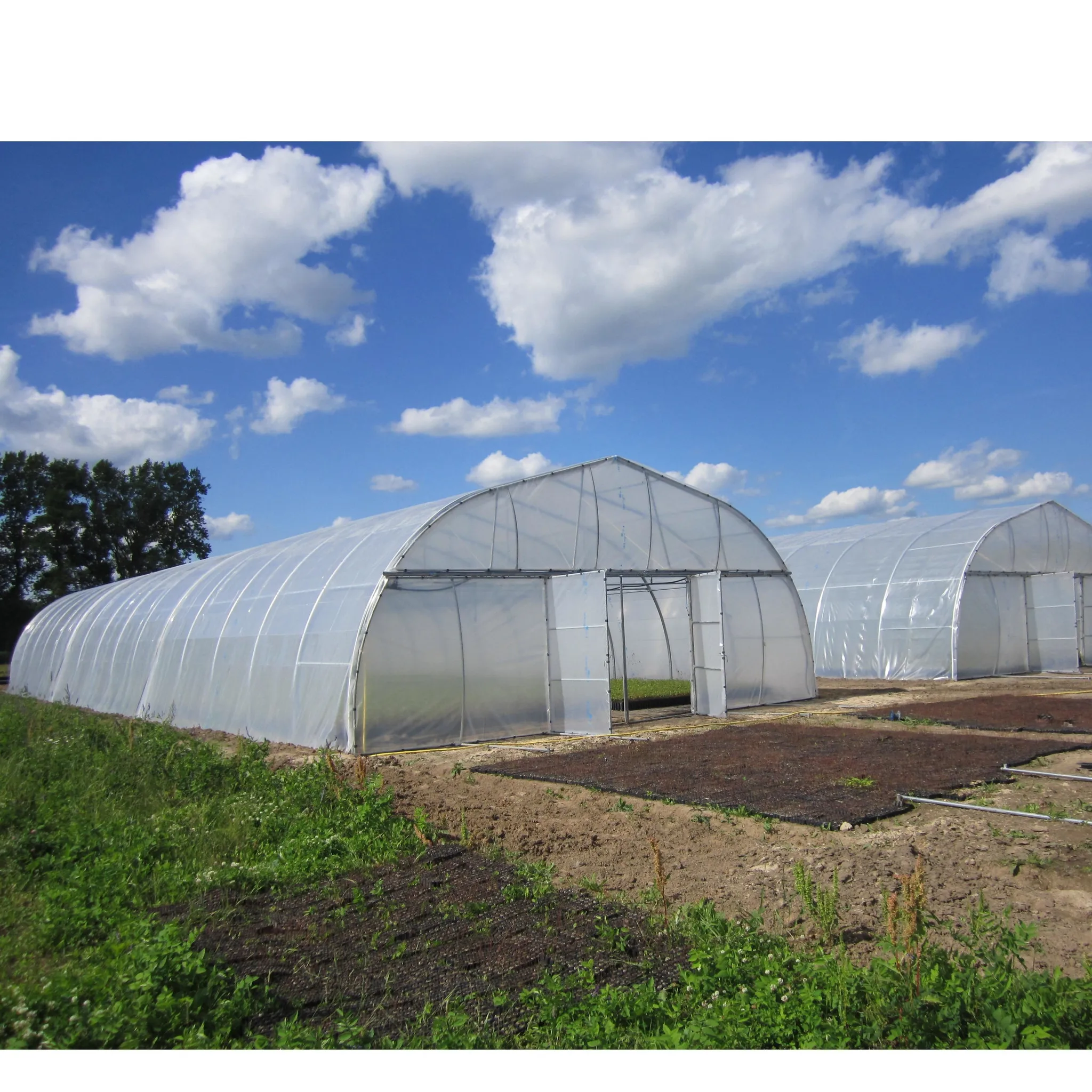 
cheap vegetables tunnel greenhouse baolida tunnel green house 